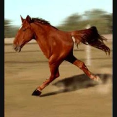 Gangnam Style (LTFM Remix)