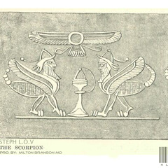 Steph L.O.V - Scorpion