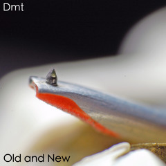Dmt - Old and New (2007)