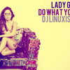 Lady Gaga - Do What You Want (DJ Linuxis Remix)