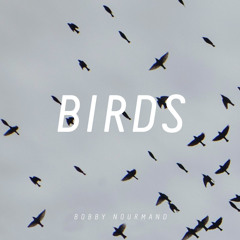 Birds (original)