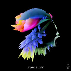 Go Chic - Waiting For (Howie Lee Remix)