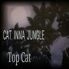 Push Up U Lighta (De-Jedi Remix) - Top Cat [OUT NOW on 9Lives Records]