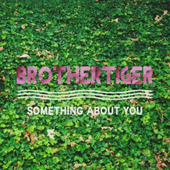 Something About You (Brothertiger Cover) - Level 42
