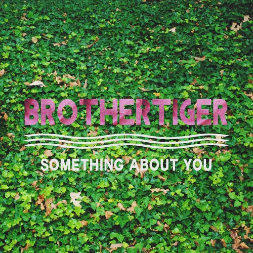 Something About You (Brothertiger Cover) - Level 42