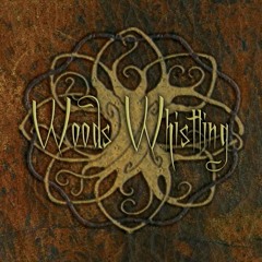 Earthly Wind - Track 6 from the album 'Woods Whistling' - Avi Adir