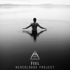 Feel - Hercolobus Project (Cover Robbie Williams)