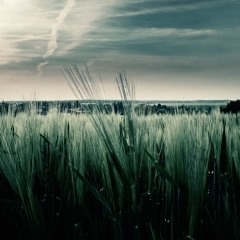 Luis Santoro - Freshness (Original Mix)