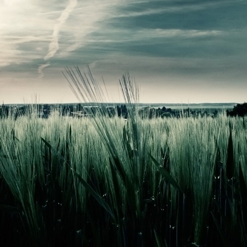 Luis Santoro - Freshness (Original Mix)
