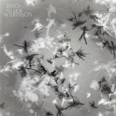 Bibio - You Won't Remember (SUNDANCE Cover)