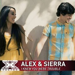 I Knew You Were Trouble (Studio Version)