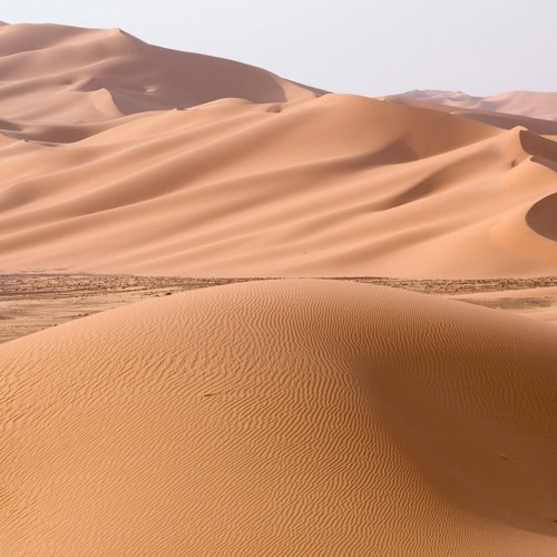 Drumcomplex & Roel Salemink - Tribe Of Sand (free download)