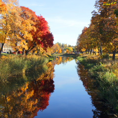 Sparkling Autumn