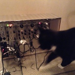 Wiard Noisering As Oscillator
