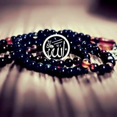 الشيخ/ وليد عاطف