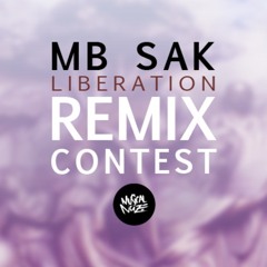 MB Sak ft. Bonnie Legion - Liberation (ELXR Remix)