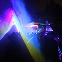 ,,,,,''''''psykoparty'''''',,,,,