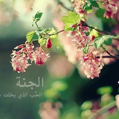 جنَتي .. عبد العزيز عبد الغني
