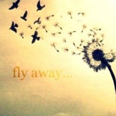 Fly Away- J.Nice Ft. Cassie