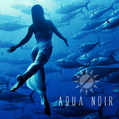Aqua Noir