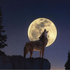 white fang's love song (original/ album mix)