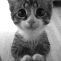 Crossroads - FTSK (cover)