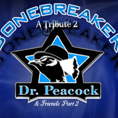 DJ BoneBreAker - A Tribute To Dr. Peacock & Friends Part 2 [30-11-2013]