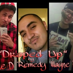 Draped UP -Mike D ft. Remedy & Wayne P