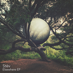 Stèv - Winter Train
