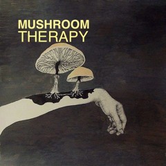 KROMAGON - Mushroom Therapy (Original Mix) SC Preview