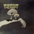 Artwork for KROMAGON - Mushroom Therapy (Original Mix) SC Preview