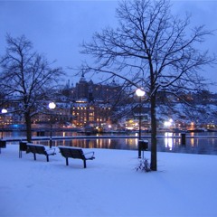 På vägen hem (i Stockholmsnatten)