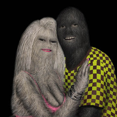 The Very Hairy Pair