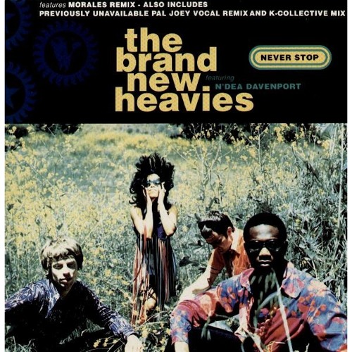 Brand New Heavies - Never Stop (Bootleg - Short Mix)