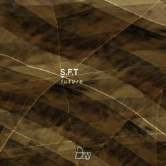 S.F.T - Future (Darker Than Wax Free Download)