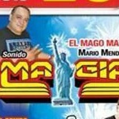 El Amor 2014 - Grupo Los Magix [sonido Magia  Ny]