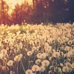 JANET JACKSON - someone to call my lover (little echo remix)