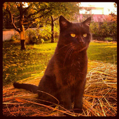 N.Paganini- Violin Concerto No.1 In E Flat Major (3rd Movement)