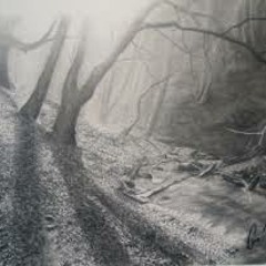 Womble's Woodlands
