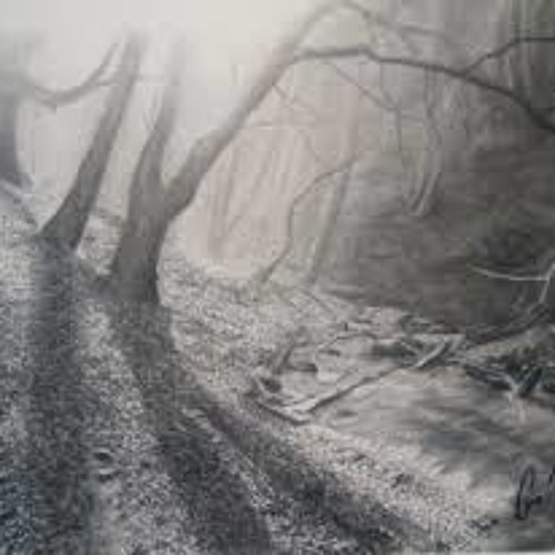 Womble's Woodlands