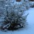 Artwork for On A Cold Winter's Day