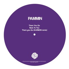 Pammin - Next To You (Original Mix) SINTOPE