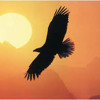 I Will Rise by Chris Tomlin