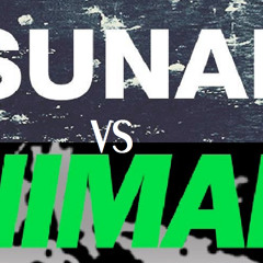 Martin Garrix Animals vs Tsunami