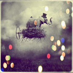 fly with me_playlist