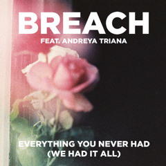 Breach - Everything You Never Had (Koopa Reshuff) *Free Download*
