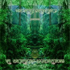 Shadowls - Chronicle Of Mystery [Visionary Shamanics - Enchanted Explorations] 2012