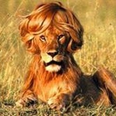 Just The Way You Are Cover