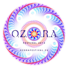 Zen Mechanics @ O.Z.O.R.A. 2013 Main Stage