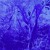 Artwork for Blue Jungle(Rêve éveillé)